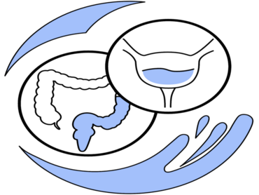Stilisierte Zeichnungen von Blase und Darm.