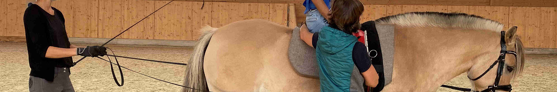 Eine Person sitzt auf einem Pferd. Zwei weitere Personen führen das Pferd und stützen die auf dem Pferd sitzende Person.