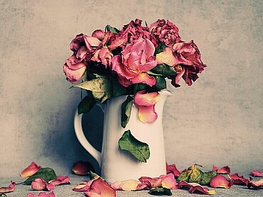 Verwelkende Rosen in einer Vase.