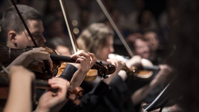 Orchester-Musiker*innen, die Geige spielen.
