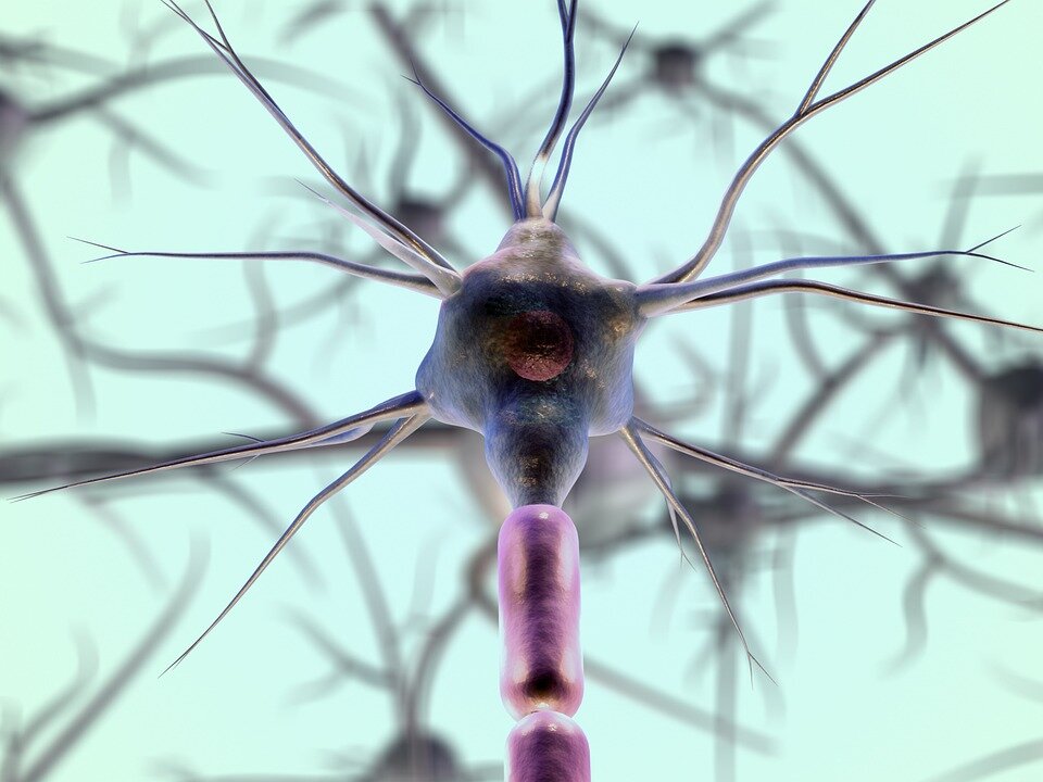 Grafische Darstellung von Nervenzellen.